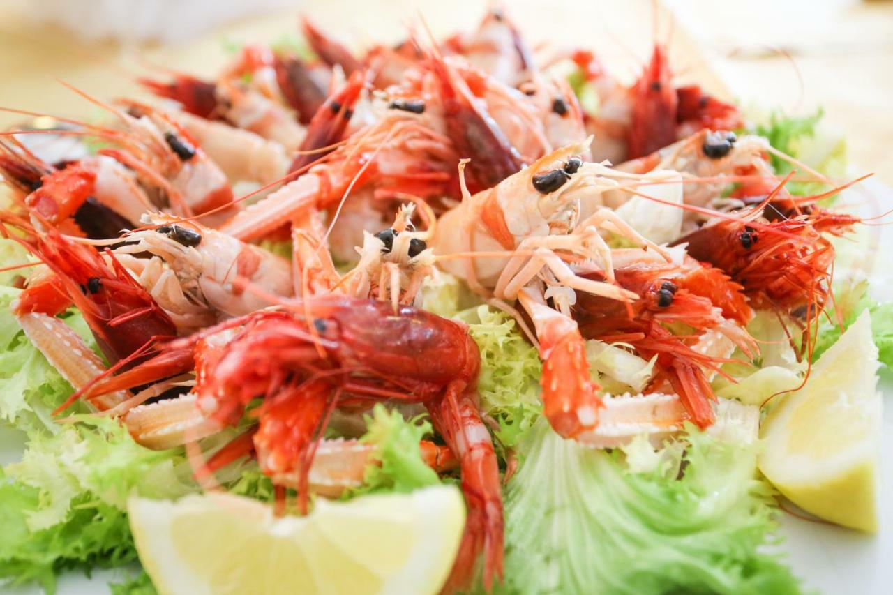 Olimpus Hotel Sora Ngoại thất bức ảnh